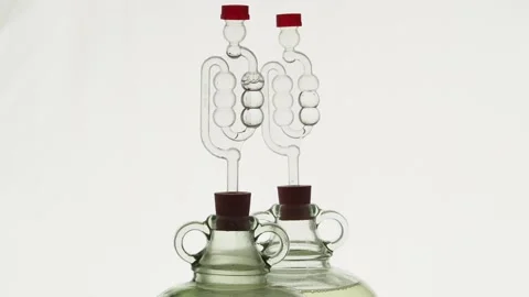 Airlock on top of demijohns with bubbles due to fermentation Stock Footage 157444337