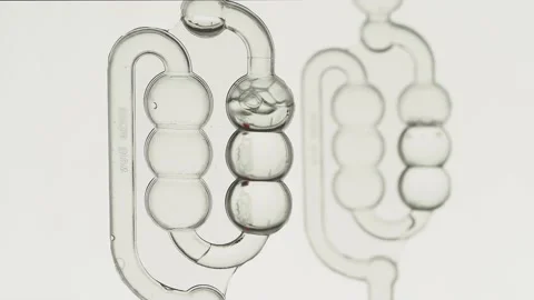 Airlocks with bubbles due to fermentation Stock Footage 157444436