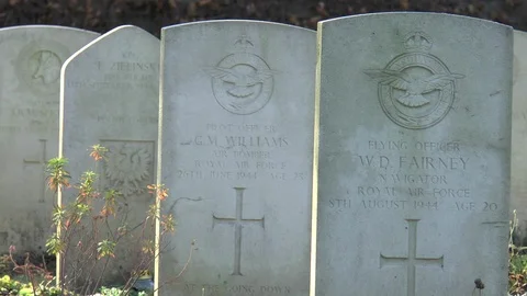 Airmen War Graves Budapest Stock Footage 100397928