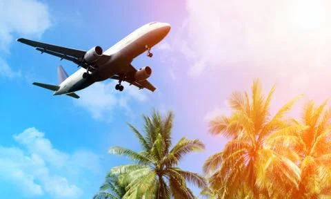 .airplane above the clouds Stock Photos