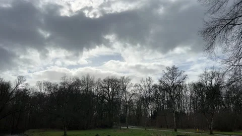 Airplane-amsterdam-forest-001 Stock-Footage 332871493