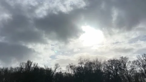 Airplane-amsterdam-forest-002 库存影片 332871499