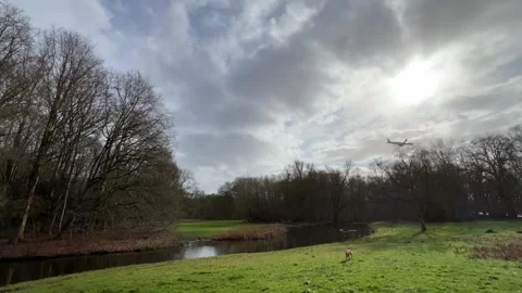 Airplane-amsterdam-forest-003 스톡 동영상 332871503