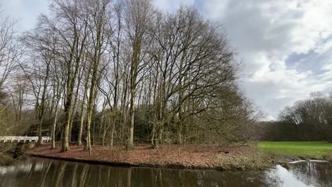 Airplane-amsterdam-forest-004 库存影片 332871496