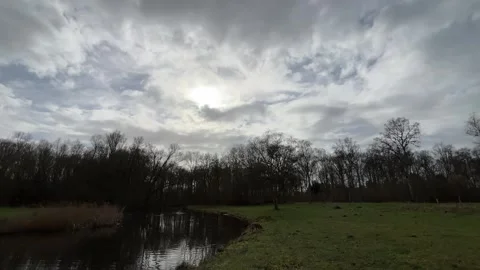 Airplane-amsterdam-forest-005 Stock Footage 332871497