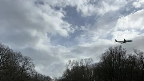 Airplane-amsterdam-forest-006 스톡 동영상 332871512