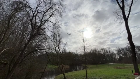 Airplane-amsterdam-forest-008 Stock-Footage 332871522