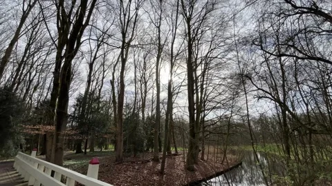 Airplane-amsterdam-forest-010 스톡 동영상 332871526