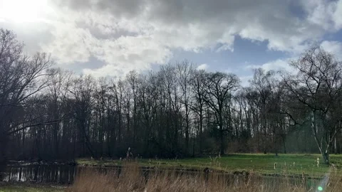 Airplane-amsterdam-forest-012 Stock-Footage 332871532