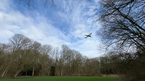 Airplane-amsterdam-forest-017 스톡 동영상 332871555
