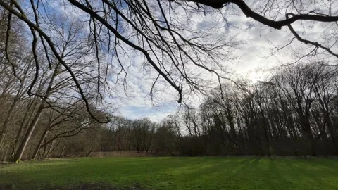 Airplane-amsterdam-forest-019 Stock-Footage 332871558