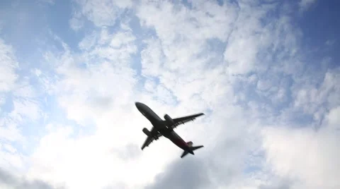 Airplane and birds flying overhead against beautiful sunny cloudy sky Stock Footage 58368268