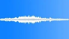 Airplane and cicadas stereo Sound Effect