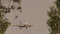 Airplane on approach between trees HD Footage