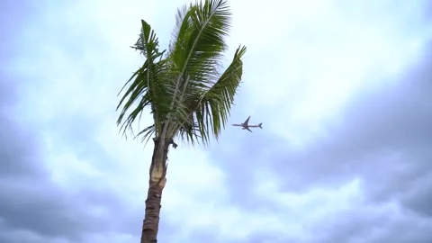 Airplane ascending through overcast clouds in a tropical destination. Vídeo Stock 330239658