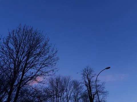 Airplane between the trees Stock Photos