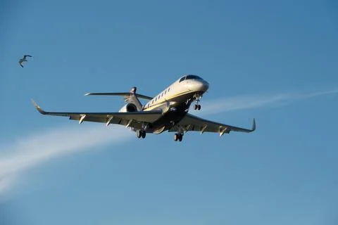 Airplane in the blue sky with white clouds. Stock Photos