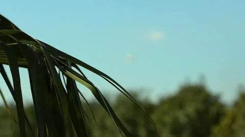 Airplane closing Stock Footage 10804669