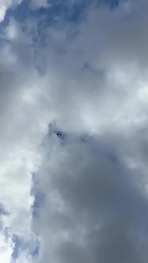 Airplane in the cloudy sky view from below 스톡 동영상 330855768