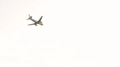 Airplane Crosses the Sky Camera Pans to Follow It To Leafy Trees View From .. Stock Footage 314026966