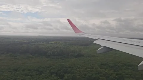 Airplane on Final Approach over Forest at Ezeiza Airport 스톡 동영상 345613443