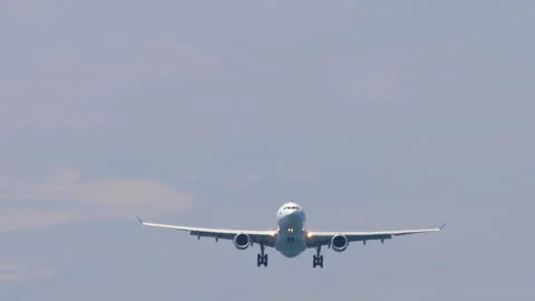 Airplane flies, bottom view Stock Footage 241583081