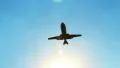 Airplane flies directly above with roaring sound, landing lights HD Footage