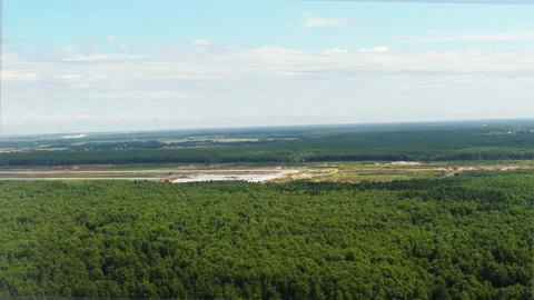 Airplane flies over the forest Stock Footage 178560378