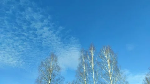 An airplane flies through the sky leaving a white trail behind it. Stock Footage 330309861