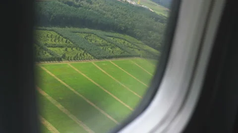 Airplane flight above green fields in 4k slow motion 60fps Video stock 119842322