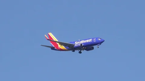 Airplane in Flight Stock Footage 127869651