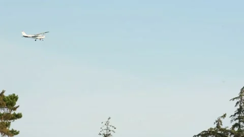 Airplane flight. The plane flies over the trees. Stock Footage 232379265
