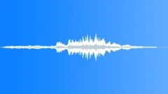 Airplane flying by 4Sound Effect