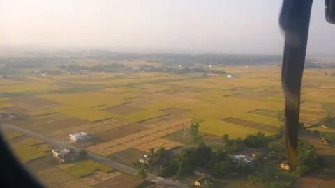 An airplane flying above beautiful plain land and field full of rice crops Stock Footage 281217424