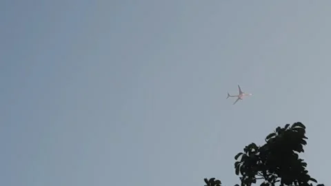 Airplane Flying above Skylark Stock Footage 336482691