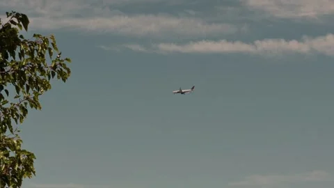 Airplane Flying Behind Tree Canopy in Slow Motion Video stock 336804481