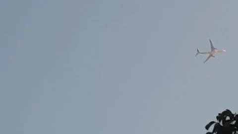 Airplane Flying with Bird Stock-Footage 336482684
