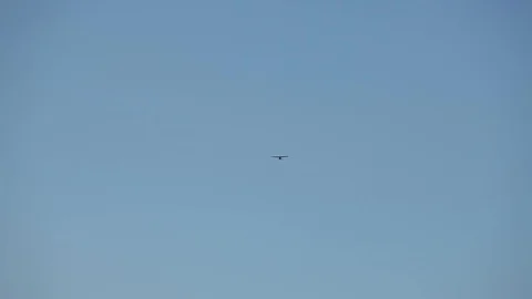 The airplane is flying in the blue sky 動画素材 93849488