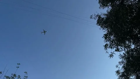 Airplane flying in clear blue sky with tree silhouettes and power lines, id.. Stock Footage 344421141