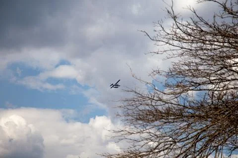 Airplane Flying in a Cloudy Sky with Distant Tree Branches Stock Photos