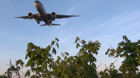 Airplane flying by Stock Footage 37536472