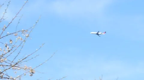 Airplane Flying Stock Footage 48466841