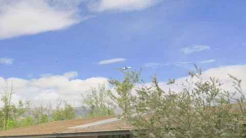 AIRPLANE FLYING Stock Footage 343419316