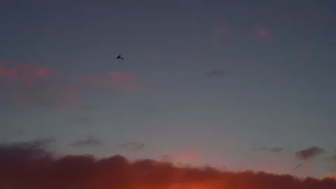 Airplane flying high in the blue sky at sunrise with orange and pink clouds.. Stock Footage 328460123