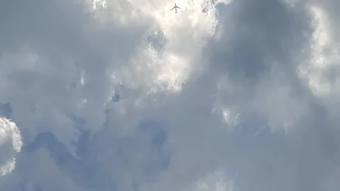 Airplane, Flying High Видео 335271662