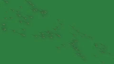Airplane Flying Motion Graphic Overlay Stock Footage 338017747