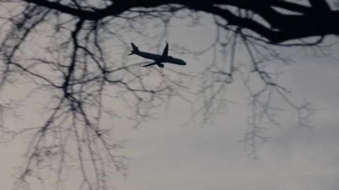 Airplane flying over Cherry Blossoms in Washington DC Stock Footage 172246845