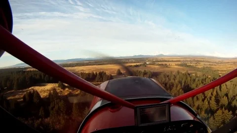 Airplane flying over the dense forest Stock Footage 83183977