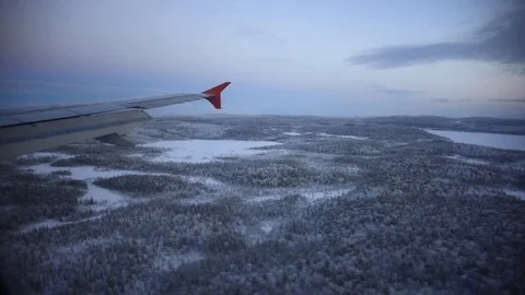 Airplane flying over a forest in winter (HD) Stock Footage 123430800