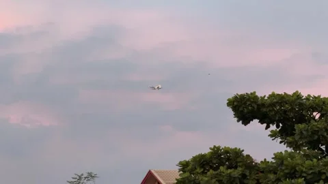 Airplane flying over green trees in pastel sunset sky Vídeos de archivo 337439557